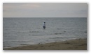 imgp3037.jpg
